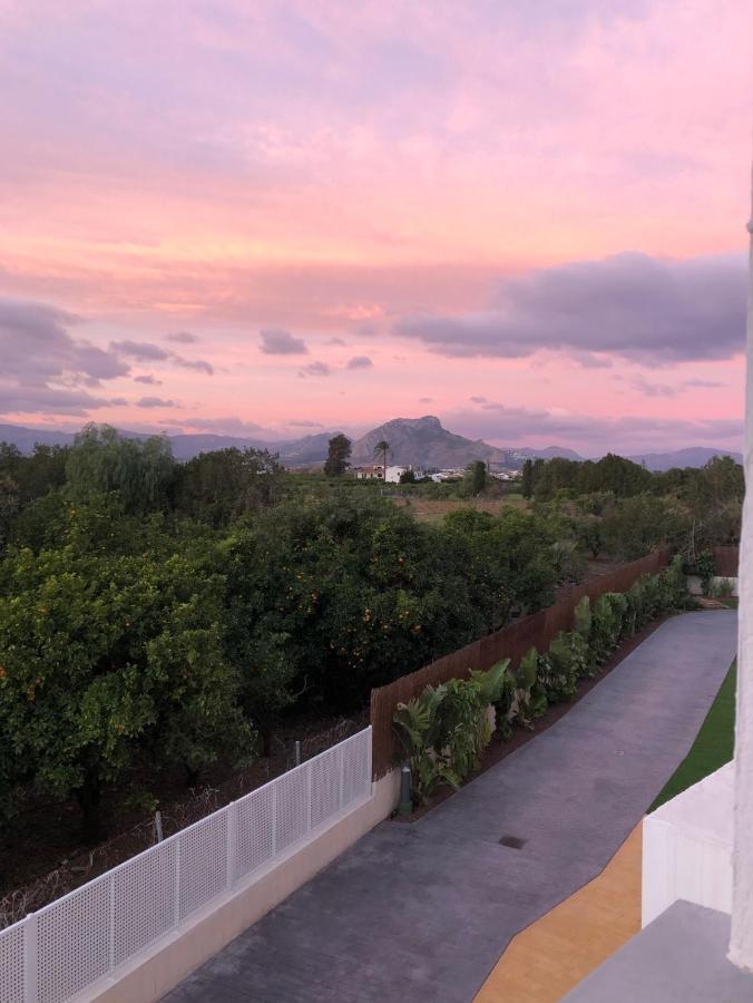 Sunny Apartment In Denia With Outdoor Swimming Pool And Garage Parking Place Included, 300M From The Sandy Beach エクステリア 写真